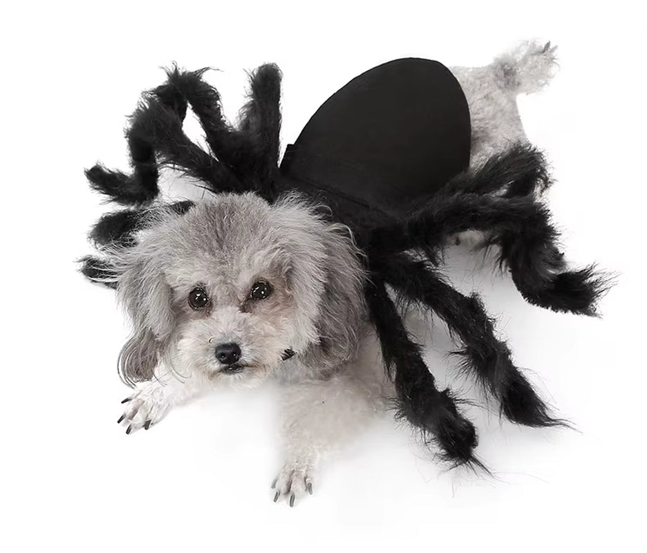 High Quality Cotton Spider Cosplay Costume for Dogs Cats Cute Printed Sizes Polyester Coat for Summer Halloween Party