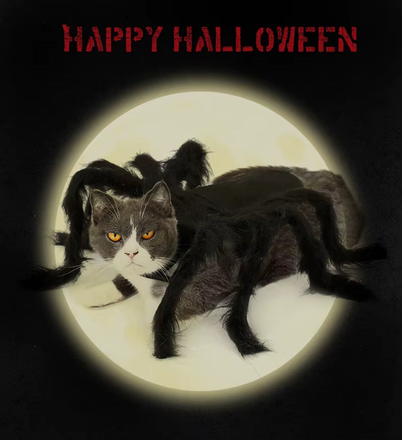 High Quality Cotton Spider Cosplay Costume for Dogs Cats Cute Printed Sizes Polyester Coat for Summer Halloween Party