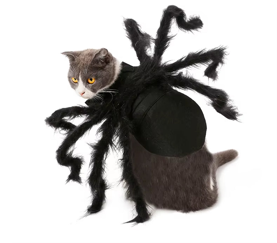 High Quality Cotton Spider Cosplay Costume for Dogs Cats Cute Printed Sizes Polyester Coat for Summer Halloween Party